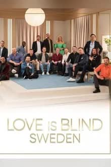 Love is Blind Sweden Season 1 (2024) วิวาห์แปลกหน้า สวีเดน