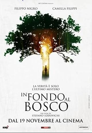 In fondo al bosco (2015) [ไม่มีซับไทย]