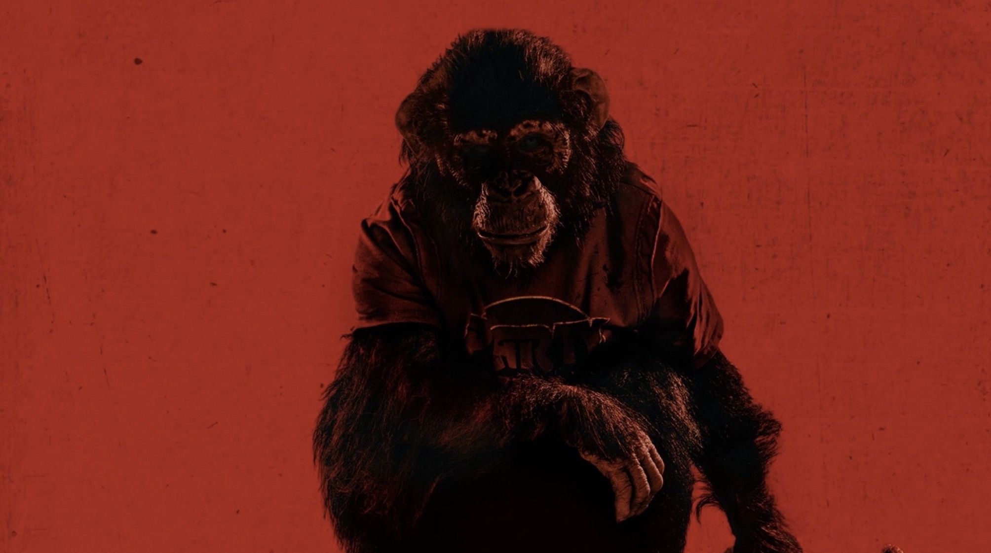 Primate (2025) - ลิงคลั่งพันธุ์ดิบ [ซับไทย]