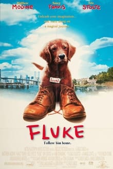 Fluke (1995) เกิดใหม่กลายเป็นหมา