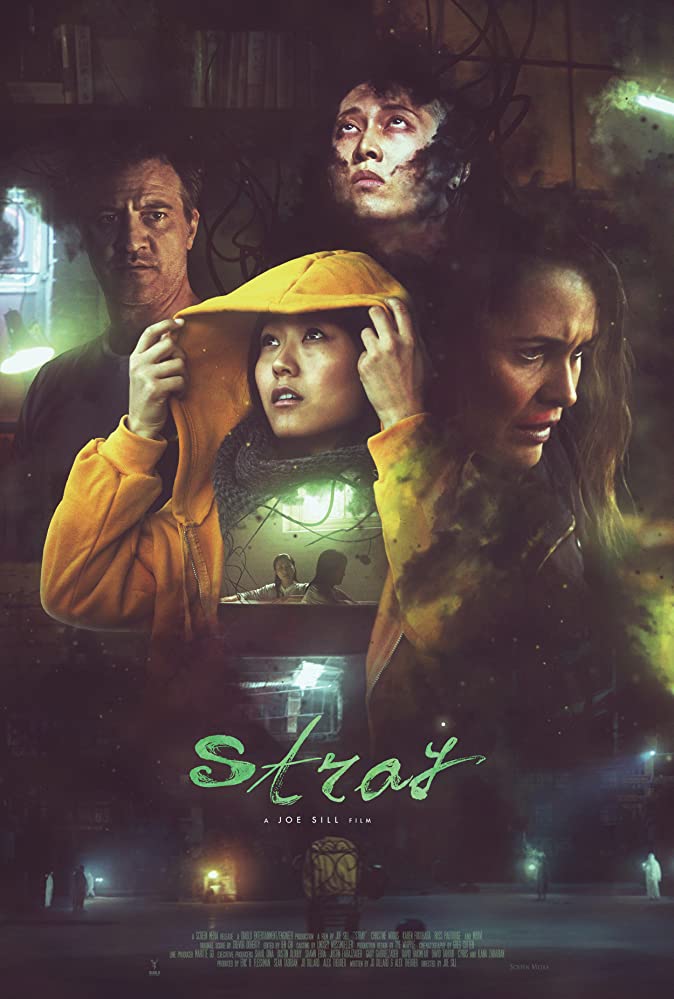 Stray (2019) ผีอยากเป็นลูกคน [พากย์ไทยโรง]